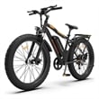 750W Electric Bike Fat Tire Removable Lithium Battery for Adults with Fender