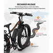 750W Electric Bike Fat Tire Removable Lithium Battery for Adults with Fender