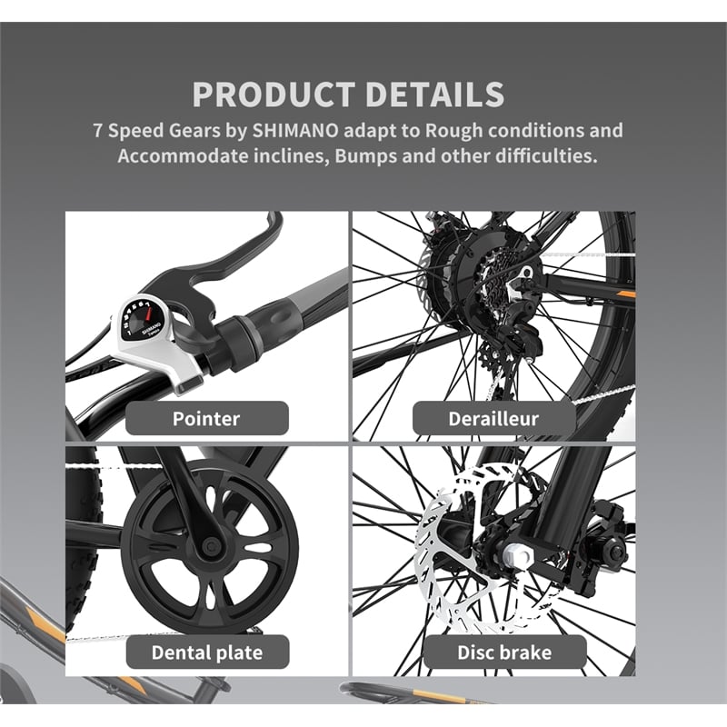 750W Electric Bike Fat Tire Removable Lithium Battery for Adults with Fender
