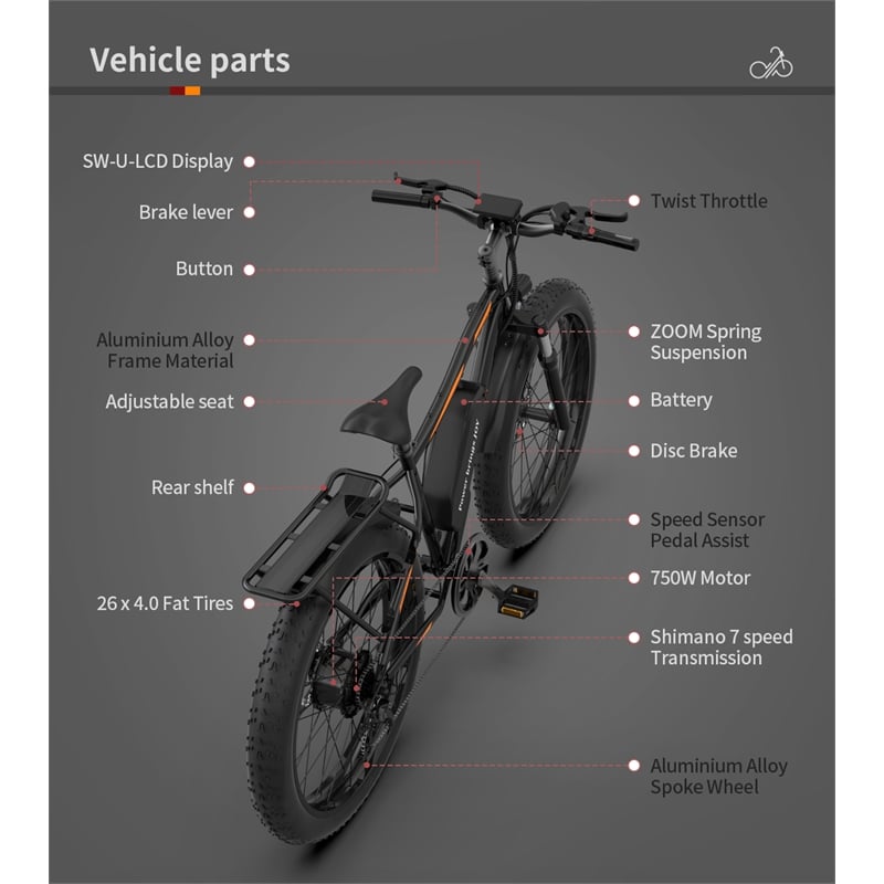 750W Electric Bike Fat Tire Removable Lithium Battery for Adults with Fender
