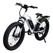 Camouflage Electric Bike Fat Tire Removable Lithium Battery  with Fender(White)