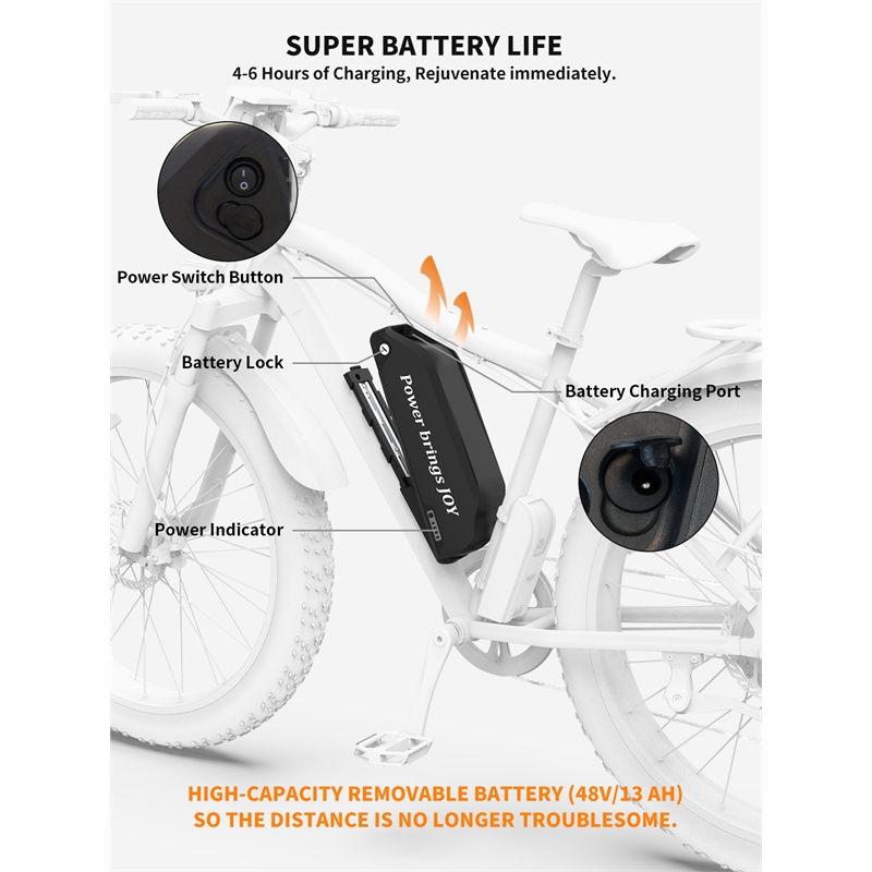 750W Electric Bike Fat Tire Removable Lithium Battery for Adults with  Fender