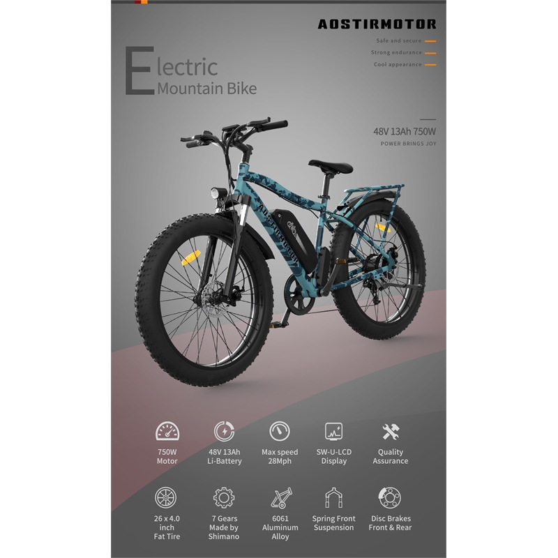 750W Electric Bike Fat Tire Removable Lithium Battery for Adults with  Fender