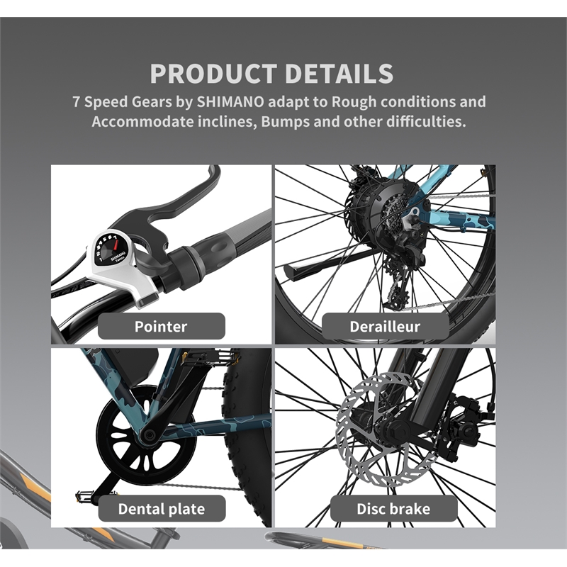 750W Electric Bike Fat Tire Removable Lithium Battery for Adults with  Fender