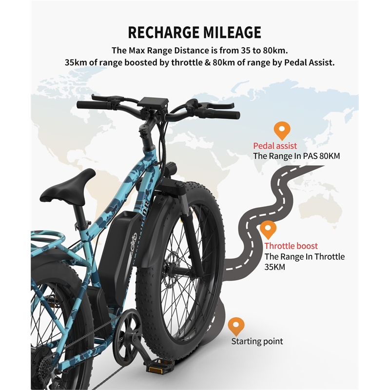 750W Electric Bike Fat Tire Removable Lithium Battery for Adults with  Fender