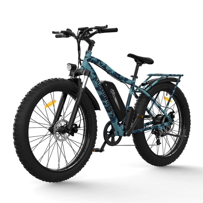 750W Electric Bike Fat Tire Removable Lithium Battery for Adults with  Fender