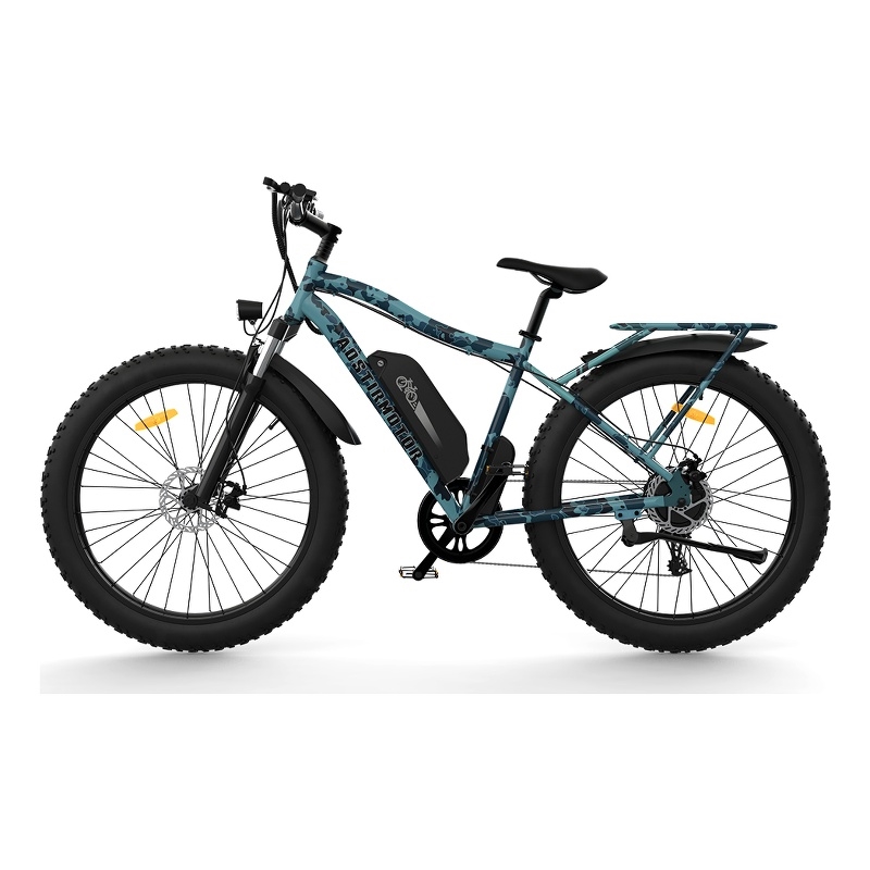 750W Electric Bike Fat Tire Removable Lithium Battery for Adults with  Fender
