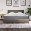 CRO Decor 10 Inch King Bed Mattress UHM0170