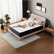 CRO Decor Black and White Mixed Memory Sponge Queen Size Mattress in a Box