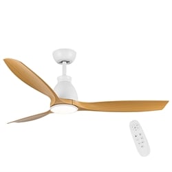Ceiling Fans