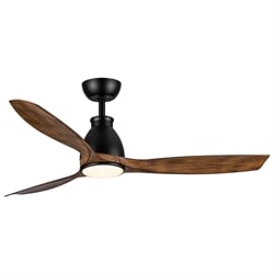 Ceiling Fans