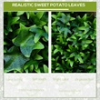 CRO Decor Green Artificial Grass Wall Panel Background for Indoor & Outdoor