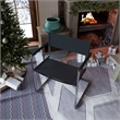 CRO Decor Modern Faux Leather Stainless Steel Chair with Two-piece Set in Black