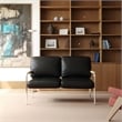 CRO Decor Stainless Steel Leather Sofa (2pc) - Black