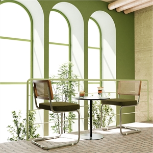 CRO Decor Stainless steel rattan backrest velvet cushion chair (2pc) - Green