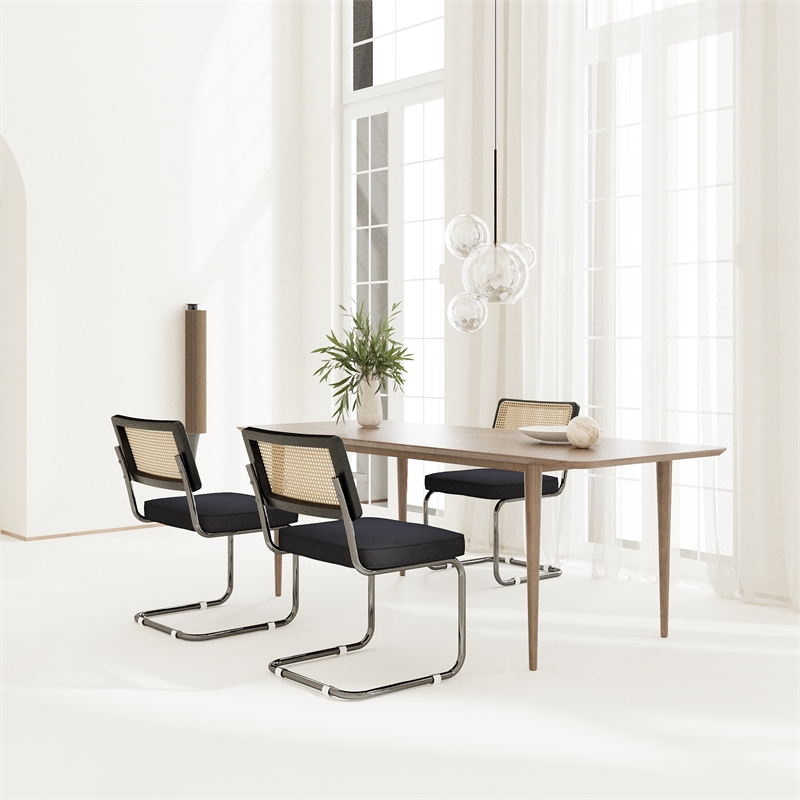 CRO Decor Stainless steel rattan backrest velvet cushion chair (2pc) - Black