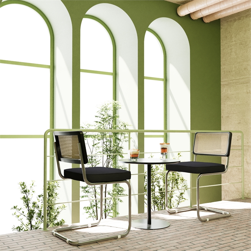 CRO Decor Stainless steel rattan backrest velvet cushion chair (2pc) - Black