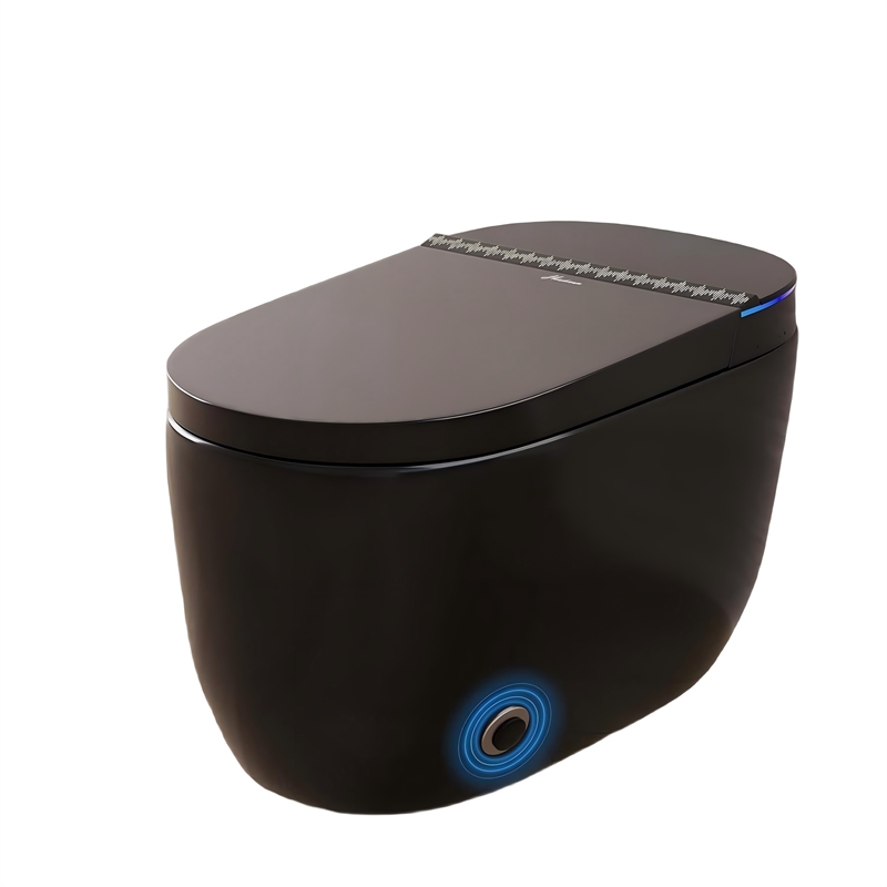 CRO Decor Modern Black Smart Toilet with Stainless Steel Construction