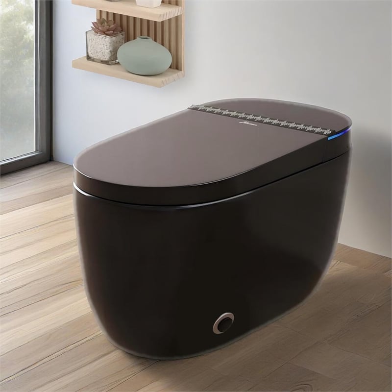 CRO Decor Modern Black Smart Toilet with Stainless Steel Construction