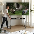 Mobile Multi-Functional Stainless Steel TV Stand with Rolling Casters - Black
