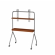 Mobile Multi-Functional Stainless Steel TV Stand with Rolling Casters - Amber