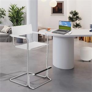 CRO Decor Stainless Steel Dining Chair Office Chair-White