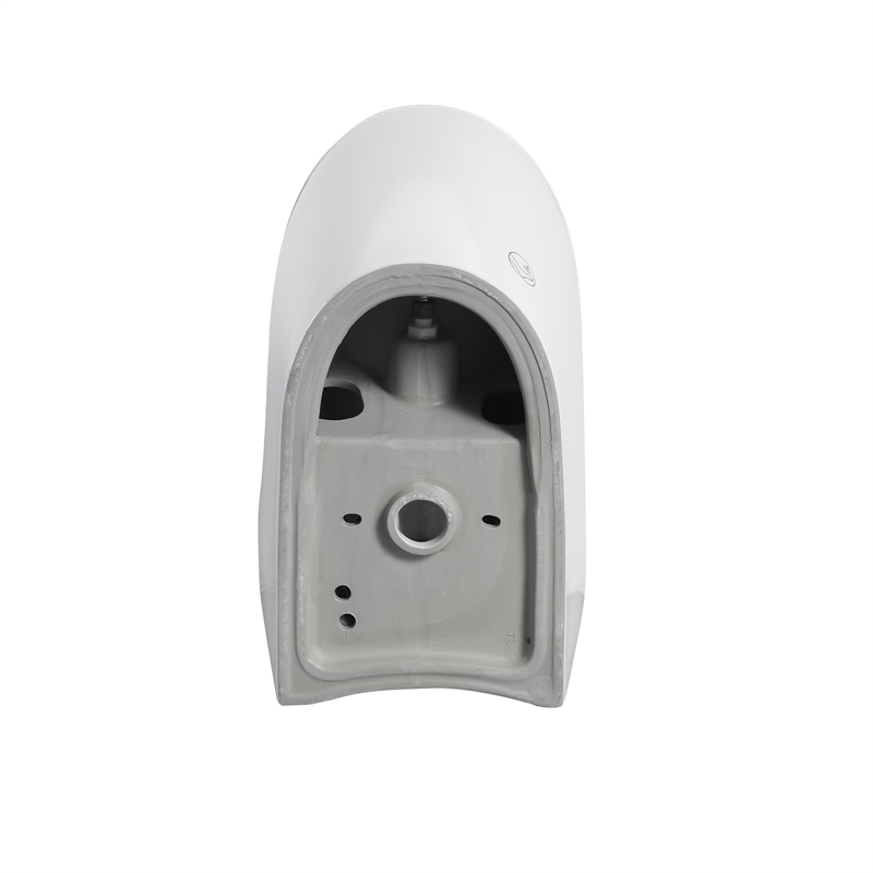 110V Smart Toilet with Foot Sensor&Power Outage Flush&Auto Lid -Black Back Panel