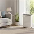 30-Pint White Plastic Dehumidifier with Air Purification & Automatic Defrost