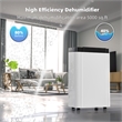30-Pint White Plastic Dehumidifier with Air Purification & Automatic Defrost