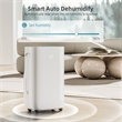 80-Pint White Plastic Semiconductor Dehumidifier for 500 Sq Ft with 5 Modes