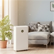 22-Pint White Plastic Ultra-Thin Semiconductor Dehumidifier for 500 Sq Ft