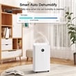 22-Pint White Plastic Ultra-Thin Semiconductor Dehumidifier for 500 Sq Ft