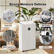 22-Pint White Plastic Ultra-Thin Semiconductor Dehumidifier for 500 Sq Ft
