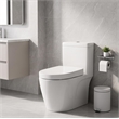 White Polypropylene U-Shaped Toilet Seat with Cover 16.34 x 12.99 in