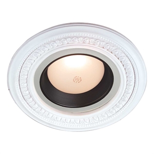 mini medallion spot light ring white trim 5 inch id x 9 inch od