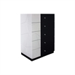 Best Master 5-Drawer Poplar Wood Bedroom Chest in White/Black