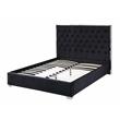 Kressa Velvet Fabric Tufted Queen Platform Bed in Black