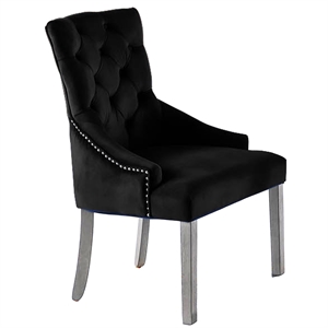 Jameson Velvet Upholstered Dining Chairs in Black (Set of 2)