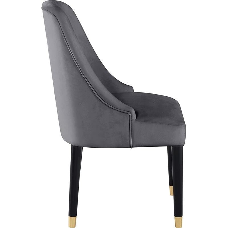 Best Master Serenity Velvet Gray Side Chairs (Set of 2)