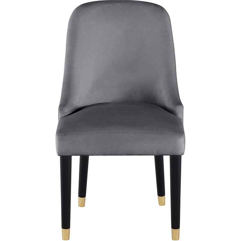 Best Master Serenity Velvet Gray Side Chairs (Set of 2)
