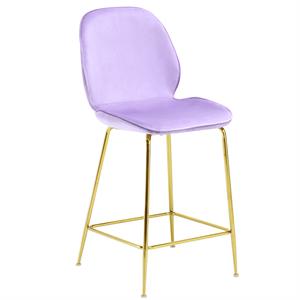 Best Master Preston 24&quot Velvet Counter Stool in Pink (Set of 2)