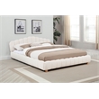 Best Master Furniture Ctera Velvet Low Profile Bed Frame (Queen/ Cream)