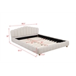 Best Master Furniture Ctera Velvet Low Profile Bed Frame (Queen/ Cream)