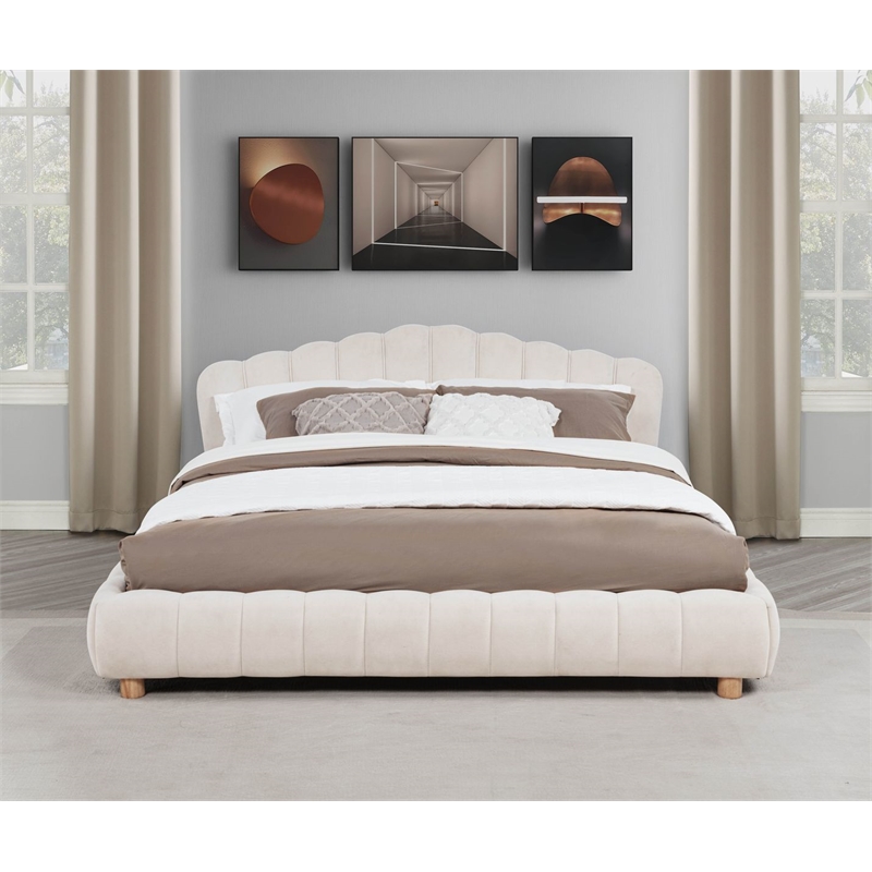 Best Master Furniture Ctera Velvet Low Profile Bed Frame (Queen/ Cream)