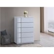 Best Master Furniture Denver Modern Mirrored 5-Drawer Chest (White)