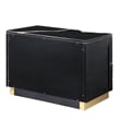 Best Master Furniture Trevello Modern Nightstand (Black/Gold)