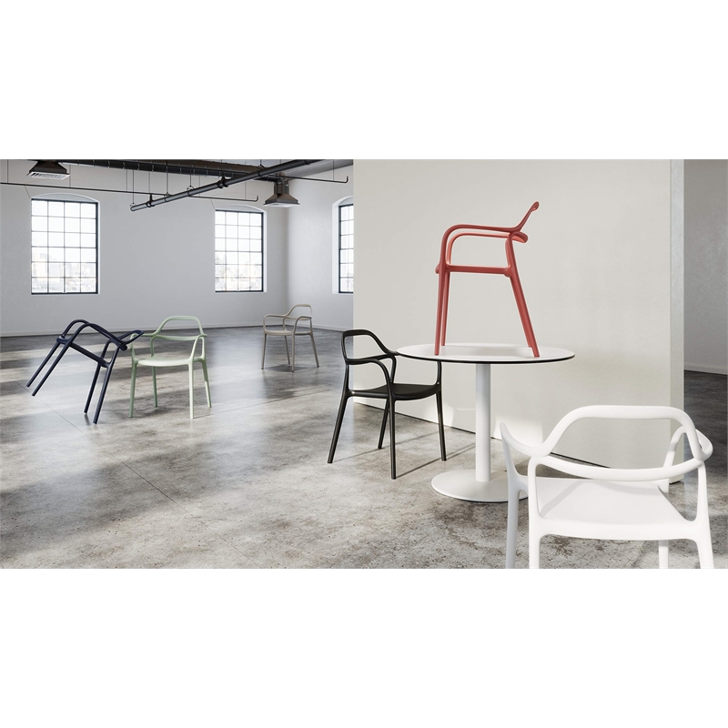 Olio Designs Dali Plastic Indoor-Outdoor Dining Arm Chair in White