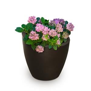 Mayne Modesto 20&quot Round Weatherproof Modern Plastic Planter in Espresso