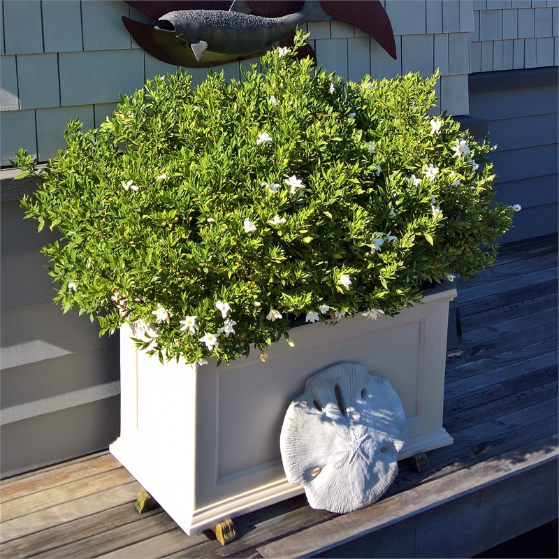 Mayne Fairfield 20x36 Weatherproof Traditional Plastic Planter in White