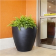 Mayne Modesto 30